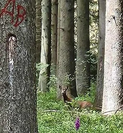 Apartmán Ardennen Sur Les Sarts
