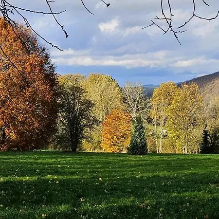 Apartment Ardennen Sur Les Sarts Vielsalm