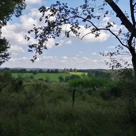 Apartment Ardennen Sur Les Sarts Vielsalm